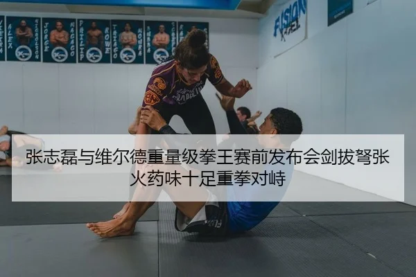 张志磊与维尔德重量级拳王赛前发布会剑拔弩张火药味十足重拳对峙